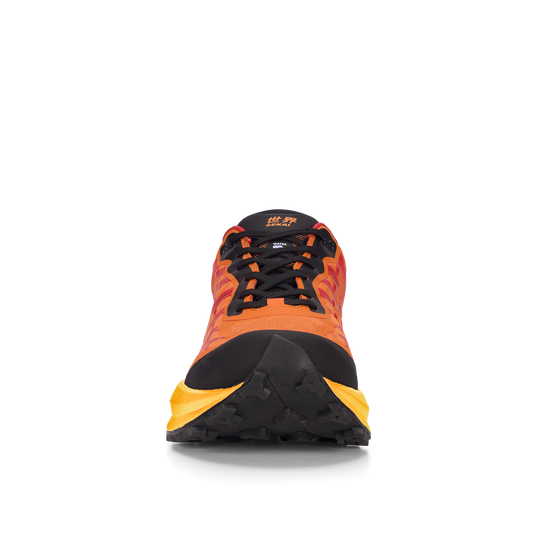 gid://shopify/Product/15702411805004_2