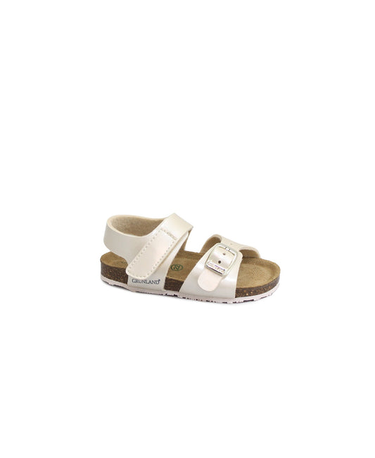 gid://shopify/Product/15737652576588_1
