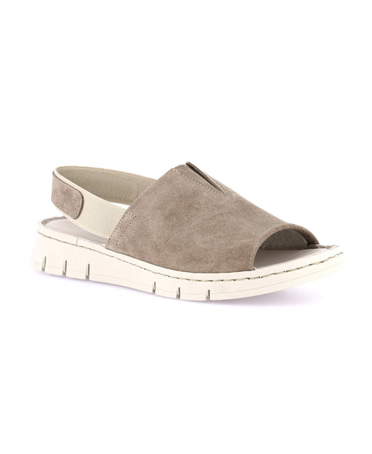 gid://shopify/Product/15740139372876_1