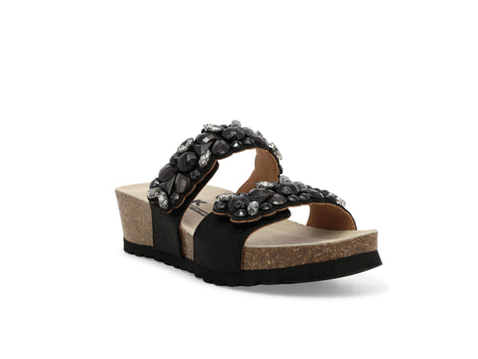 gid://shopify/Product/15686089048396_2