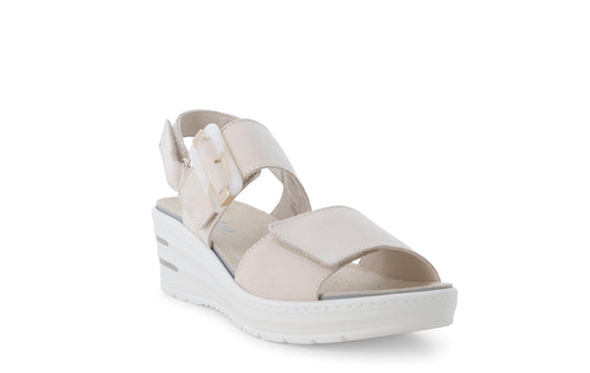 gid://shopify/Product/15761194516812_2