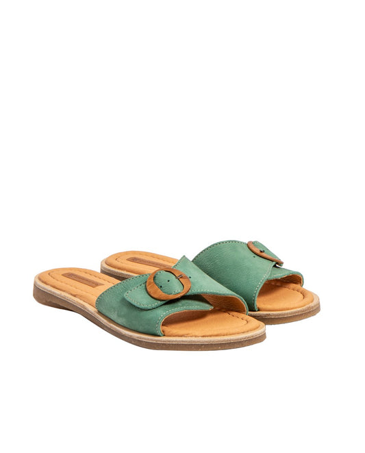 gid://shopify/Product/15700051493196_2