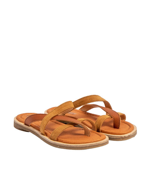 gid://shopify/Product/15700052377932_2