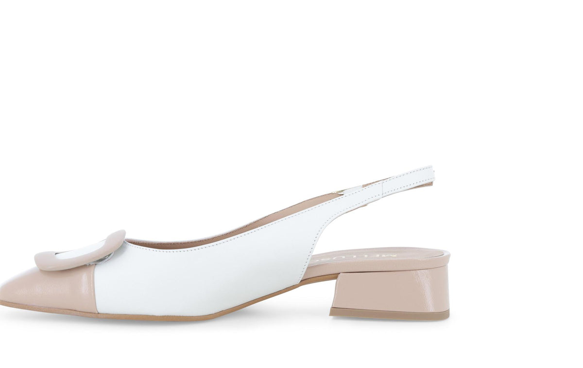 gid://shopify/Product/15761231675724_4