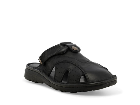 gid://shopify/Product/15761232331084_2
