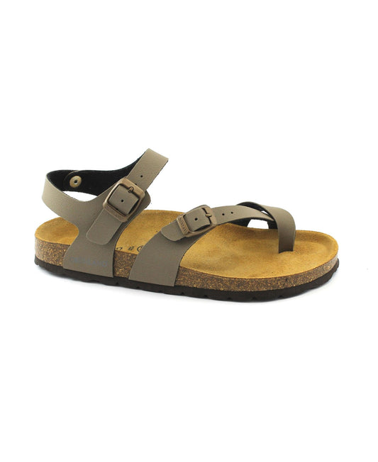 gid://shopify/Product/15858119115084_2