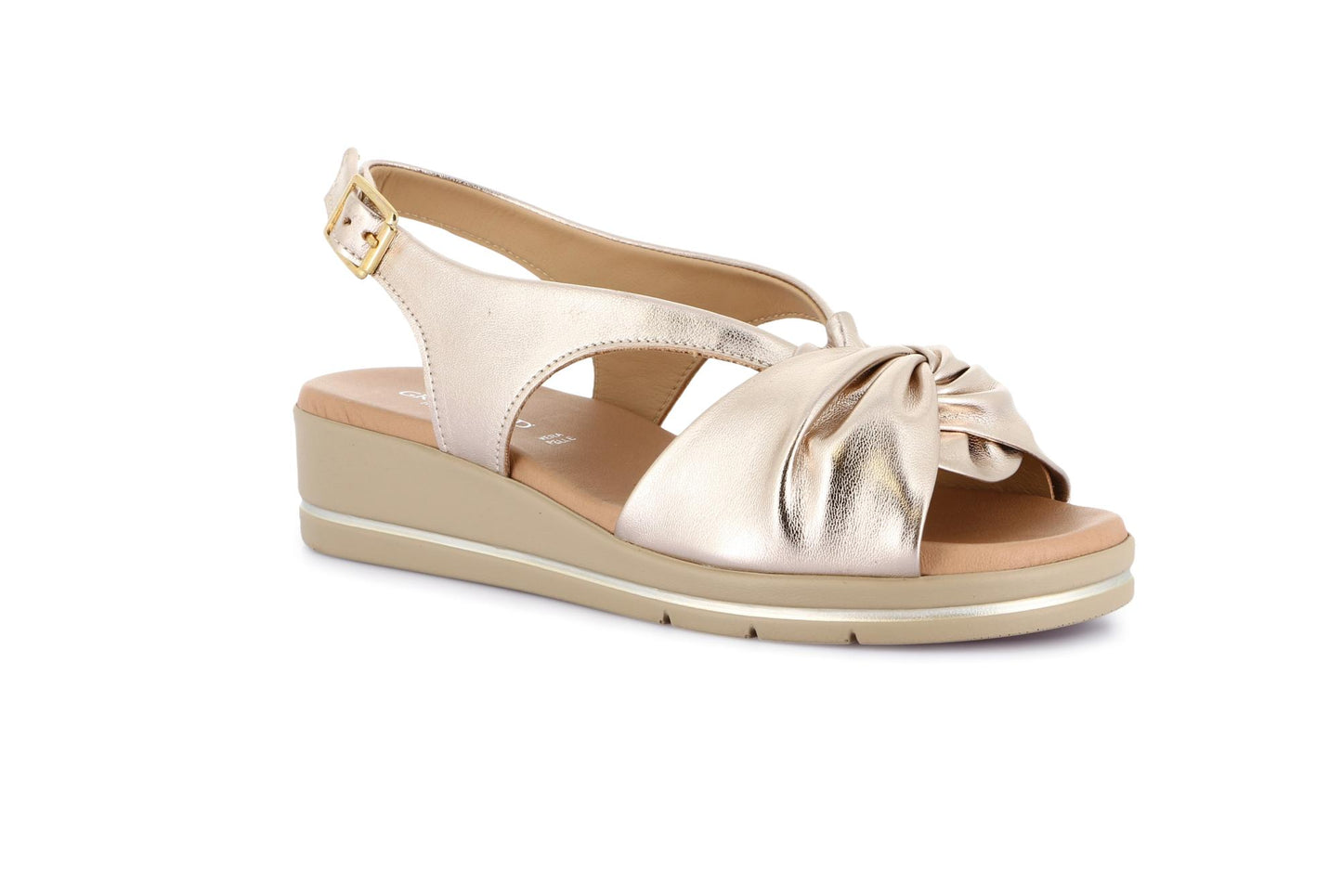 gid://shopify/Product/15798264561996_1