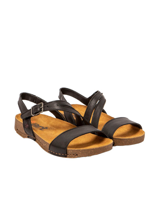 gid://shopify/Product/15785676341580_2