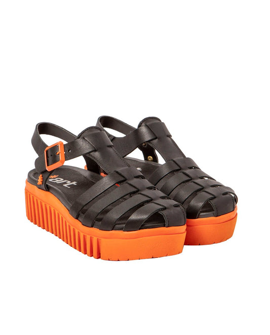 gid://shopify/Product/16171325849932_2