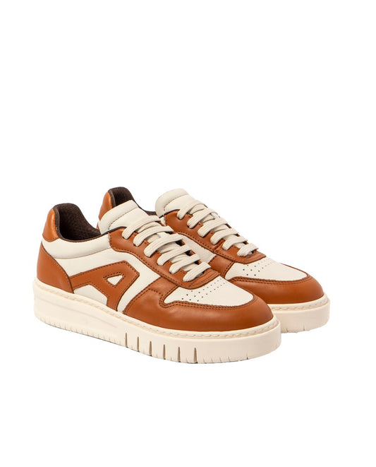 gid://shopify/Product/16171440898380_2
