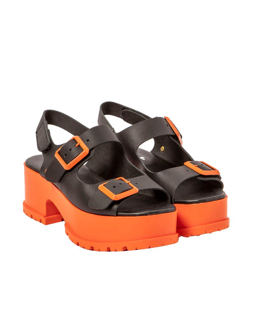 gid://shopify/Product/16171547984204_2
