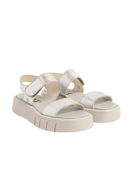gid://shopify/Product/16171553718604_2