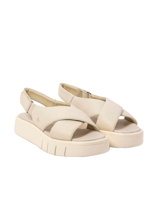 gid://shopify/Product/16171556405580_2