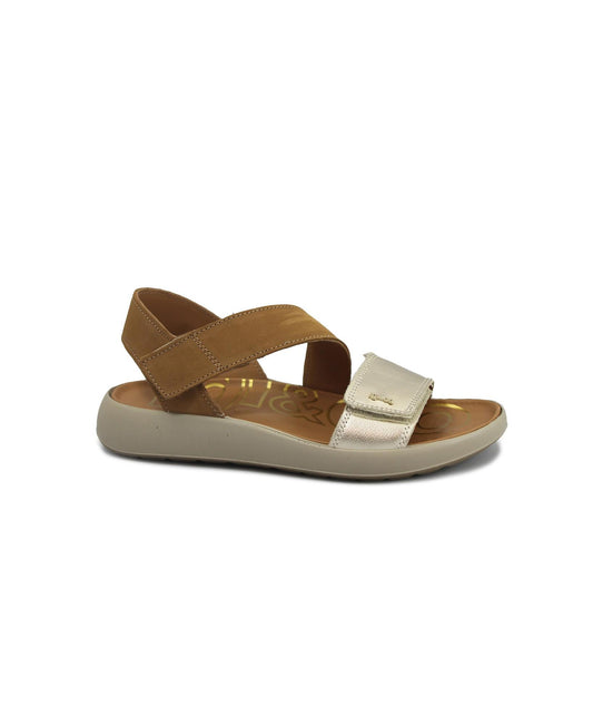 gid://shopify/Product/15740209201484_1