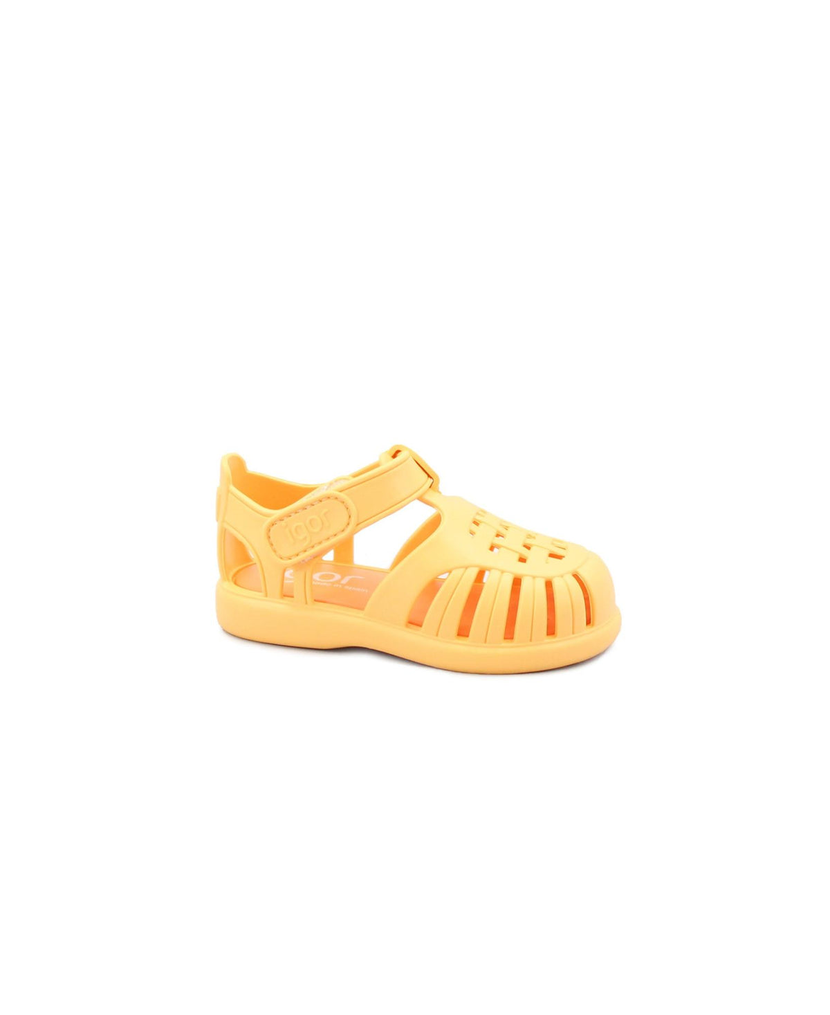 gid://shopify/Product/15738626441548_1