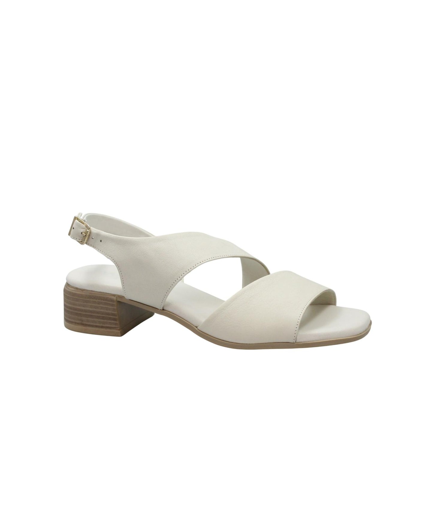 gid://shopify/Product/15913040216396_1