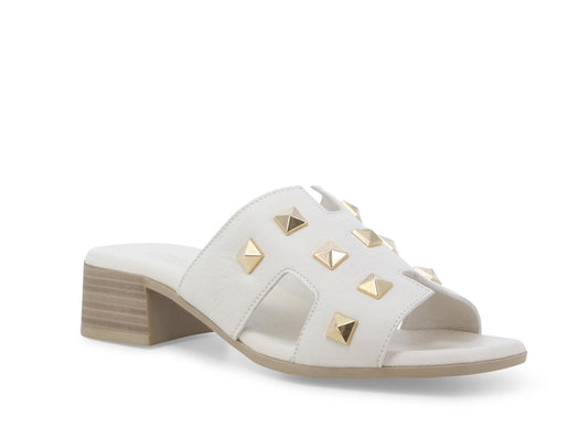 gid://shopify/Product/15761211457868_2