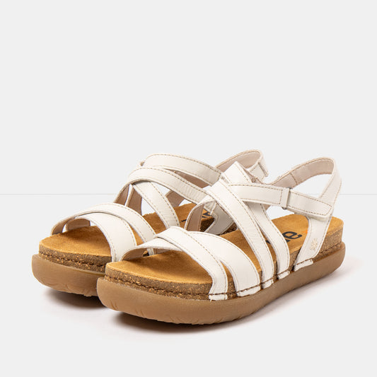gid://shopify/Product/16172964806988_2