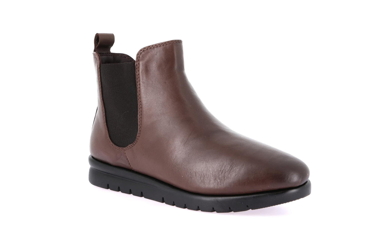 gid://shopify/Product/16145756258636_1