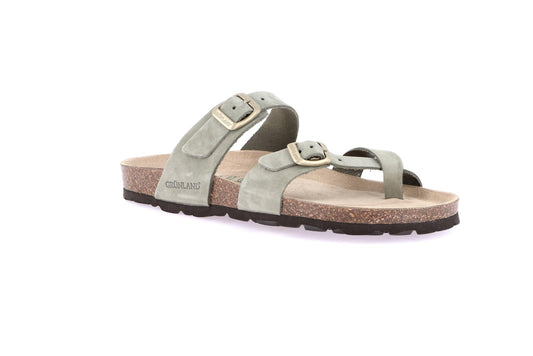 gid://shopify/Product/15755011719500_57521207247180