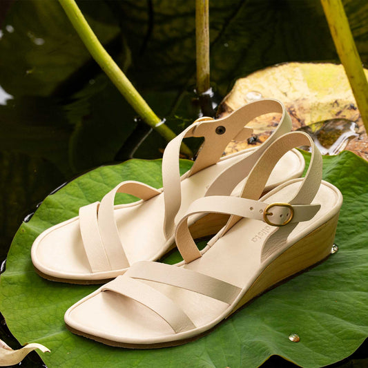 gid://shopify/Product/15700717404492_2