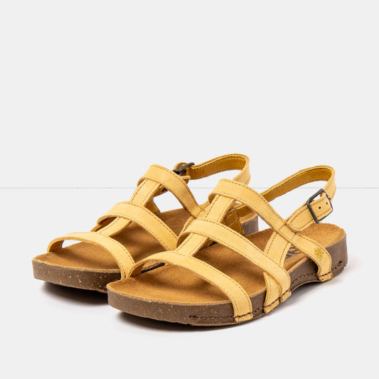 gid://shopify/Product/16172864569676_2