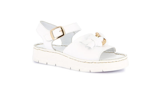 gid://shopify/Product/15798261317964_1