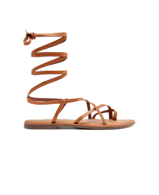 gid://shopify/Product/15738617594188_1