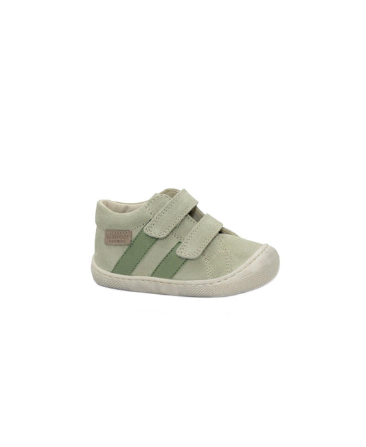 gid://shopify/Product/15738081018188_1