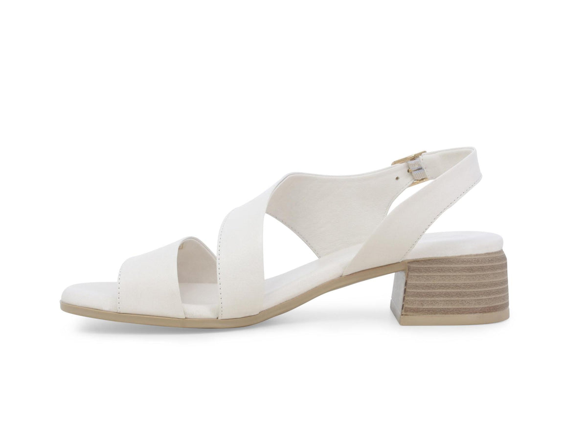 gid://shopify/Product/15761214177612_4