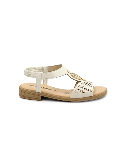 gid://shopify/Product/15738493632844_1