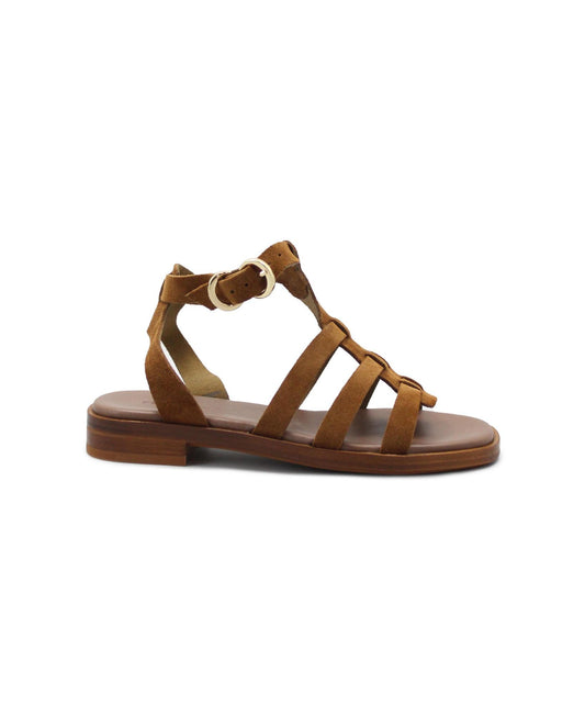 gid://shopify/Product/15738561462604_1