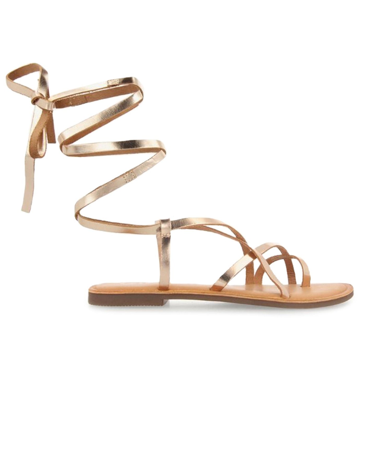 gid://shopify/Product/15738616971596_1