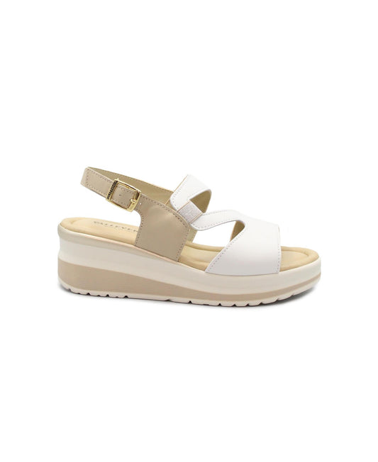 gid://shopify/Product/15738496811340_1