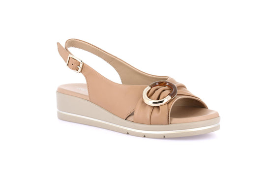 gid://shopify/Product/15798264758604_1