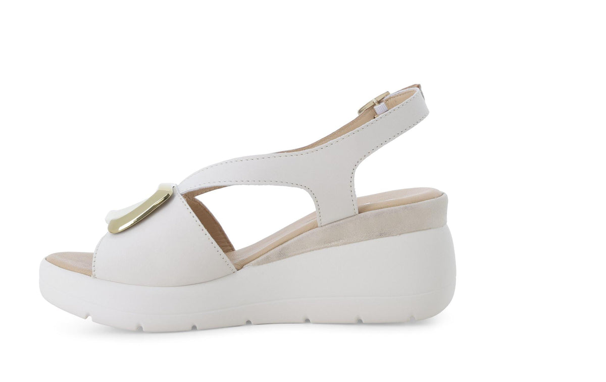 gid://shopify/Product/15761198186828_4