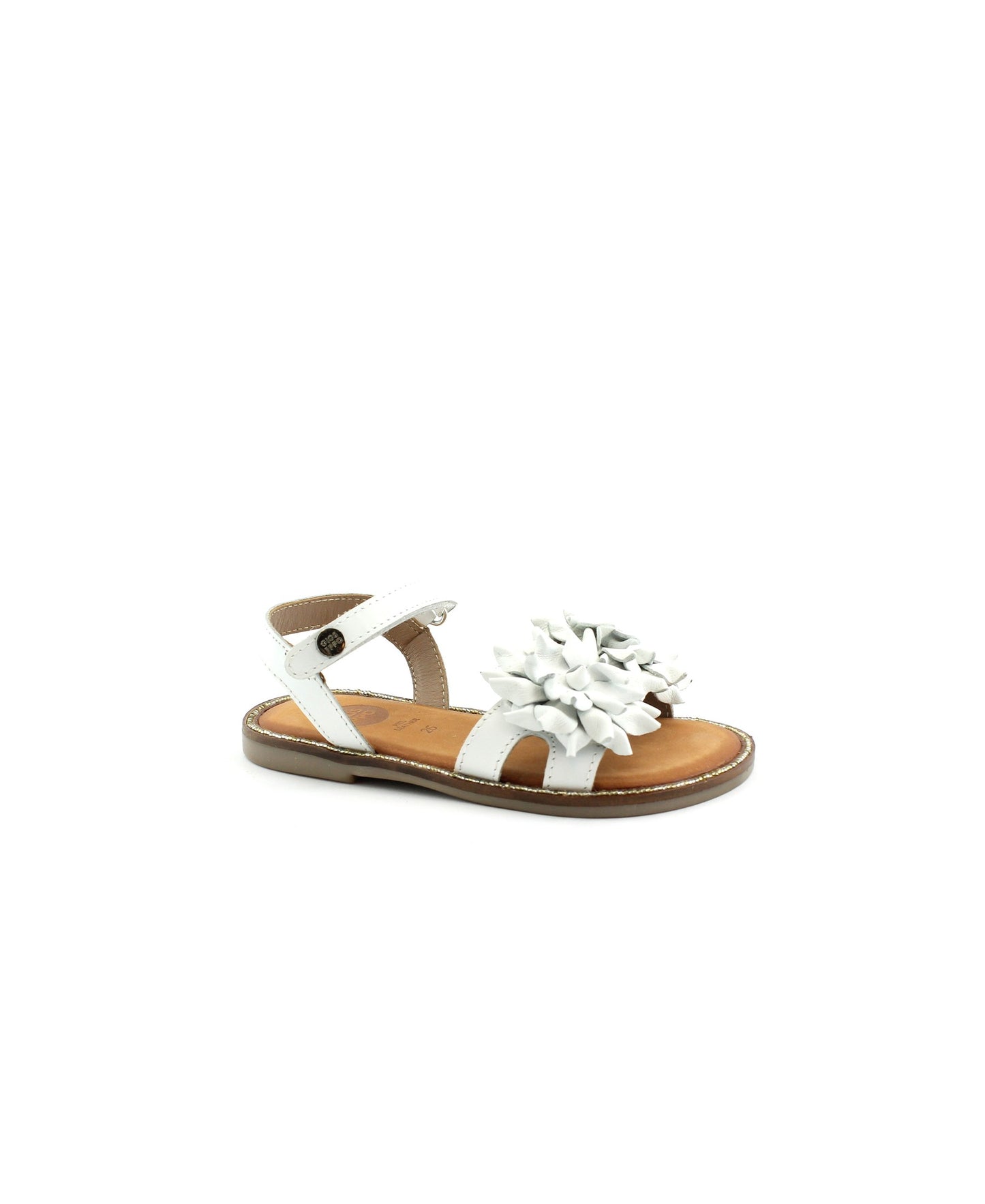 gid://shopify/Product/15739035025740_3
