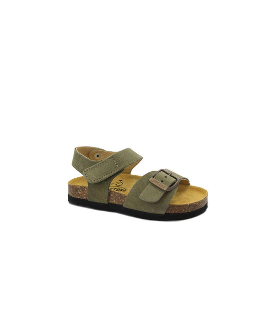 gid://shopify/Product/15738513260876_1