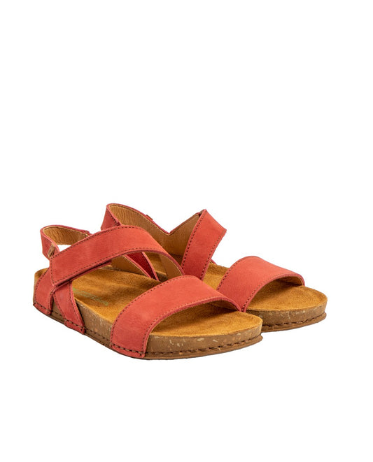 gid://shopify/Product/15700061552972_2