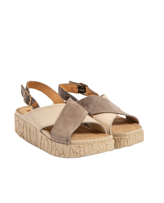 gid://shopify/Product/15700198129996_2