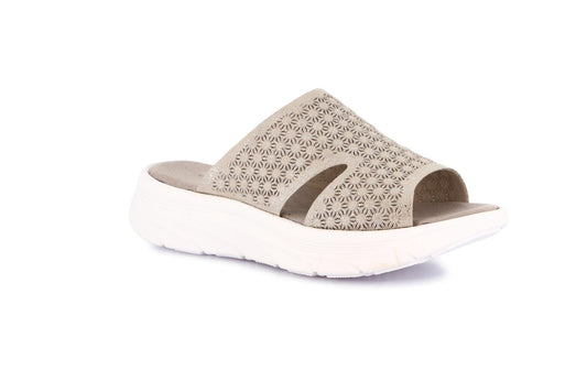 gid://shopify/Product/15754930028876_57521002873164