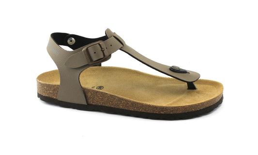 gid://shopify/Product/15857551409484_3