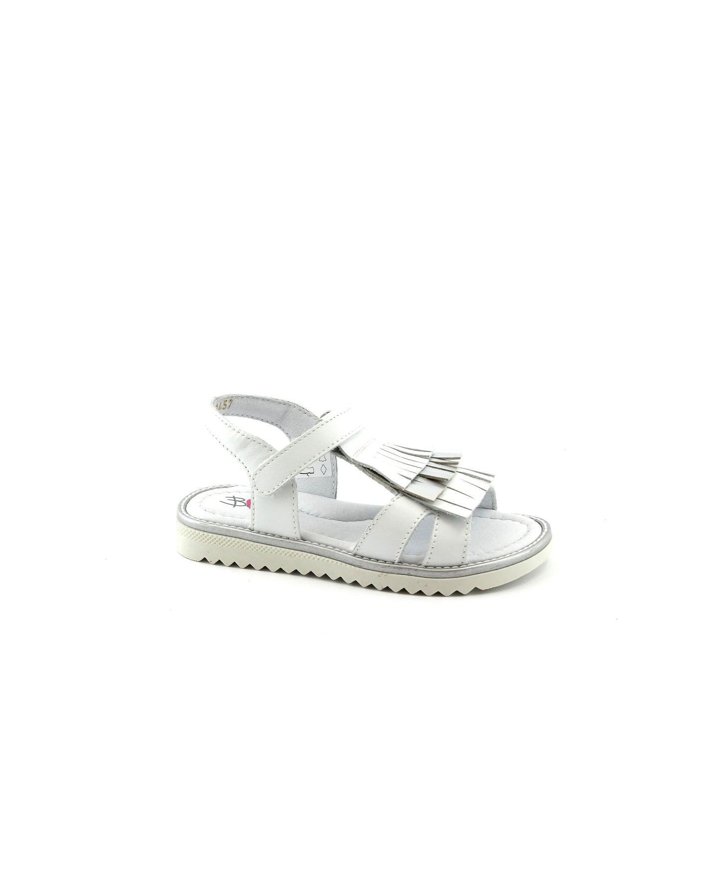 gid://shopify/Product/15738954285388_2