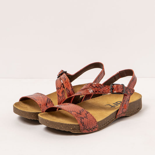 gid://shopify/Product/16171966431564_2