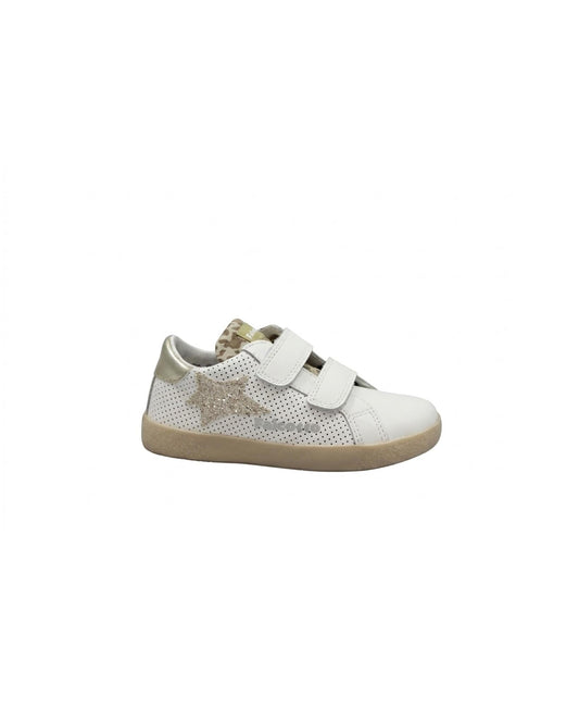 gid://shopify/Product/15738363969868_1
