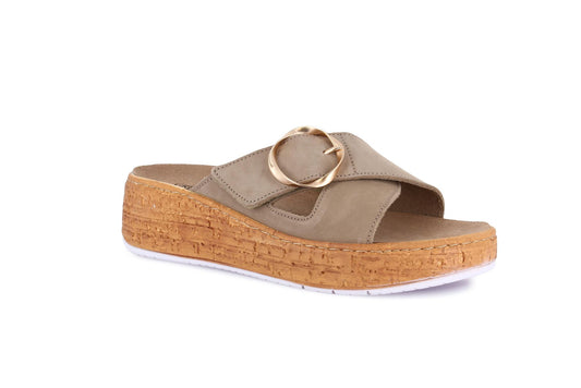 gid://shopify/Product/15798254764364_57721845383500