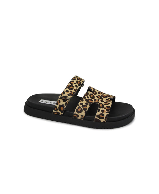 gid://shopify/Product/15737654542668_1
