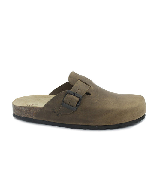 gid://shopify/Product/15740205138252_1