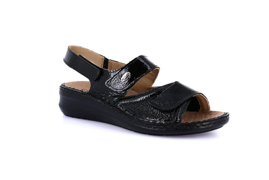 gid://shopify/Product/15798269641036_1