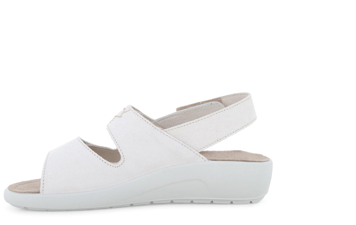 gid://shopify/Product/15761226727756_4